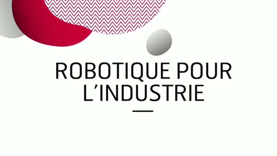 Robotique pour l'industrie