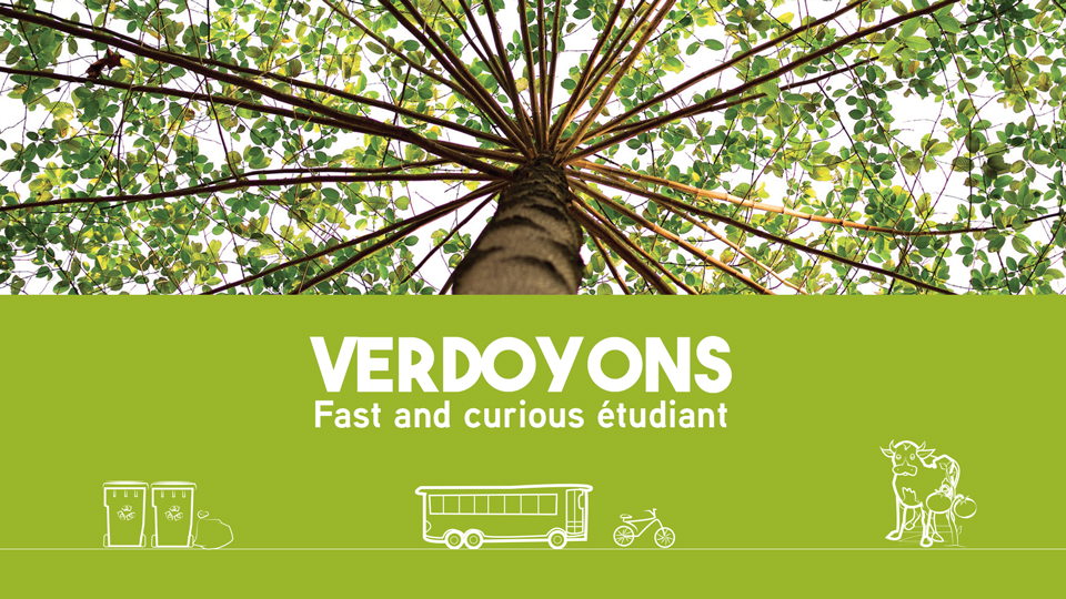 carton verdoyons