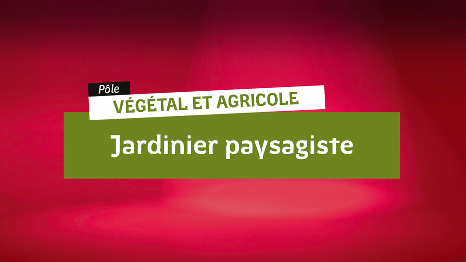 Vege-Jardinier