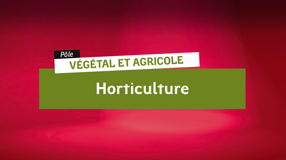 Vegetal-Horticulture