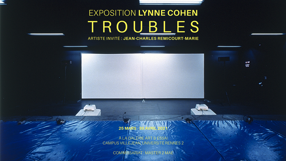 Lynne-Cohen_Troubles