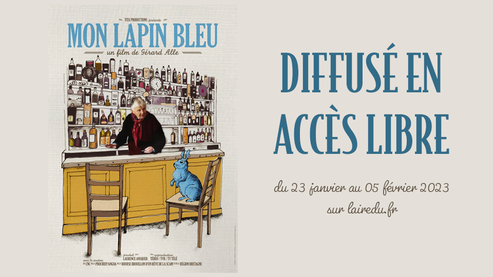 DIFF_EXCEPT_mon_lapin_bleu